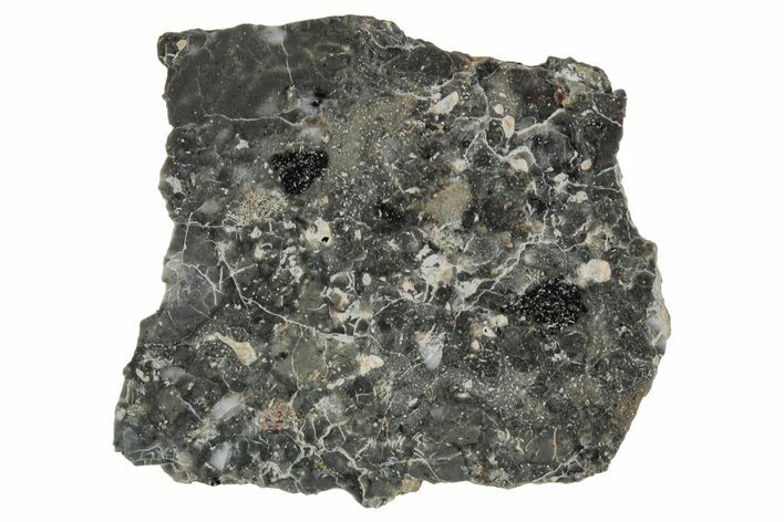 Polished Lunar Meteorite ( g) Slice - Adrar #355995